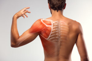 General Musculoskeletal Complaints and Injuries